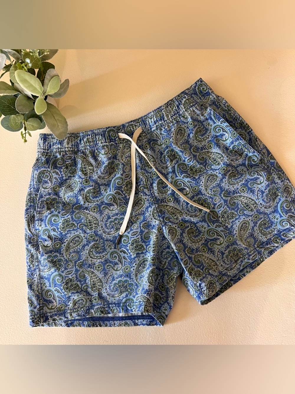 Fair Harbor Mens Bungalow Swim Trunks 5"